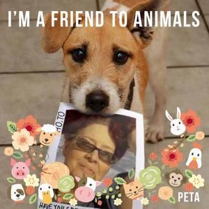 Meet your Posher, Jenny